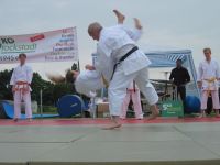Bilder_2013 (2)